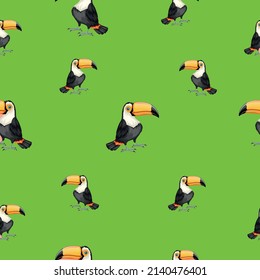Toucan bird tropical animal minimalistic pattern design art illustration