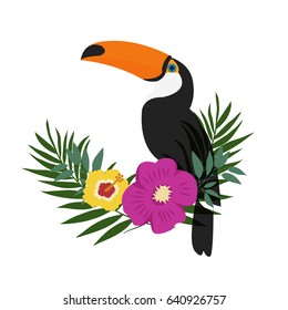 Toucan bird with tropical background.