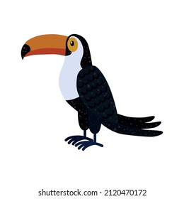 The toucan bird. Tropical bird is a family of birds, the order woodpeckers. Vector illustration isolated on a white background for design and web.