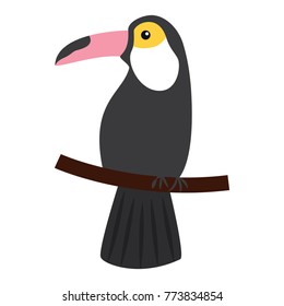 toucan bird tropical on branch image
