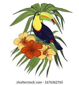 Toucan bird and tropical plants , vector illustration