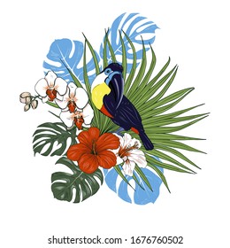 Toucan bird and tropical plants , vector illustration