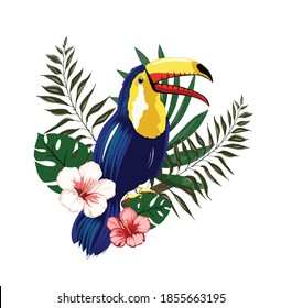 Toucan bird and tropical plants , vector illustration