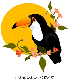 Toucan  bird vector.