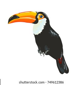 Toucan bird. Vector