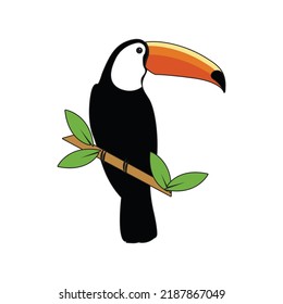 Toucan bird vector art illustration
