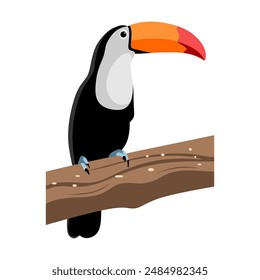 toucan bird vector flat design