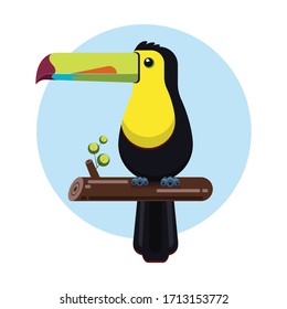 Toucan bird - vector illustration 