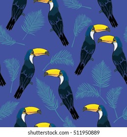 Toucan bird - vector, illustration