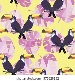 Toucan bird - vector illustration