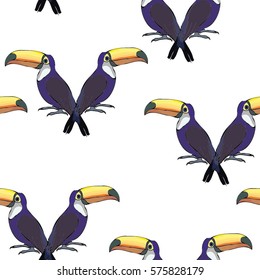 Toucan bird - vector illustration