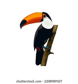 Toucan bird vector illustration cartoon