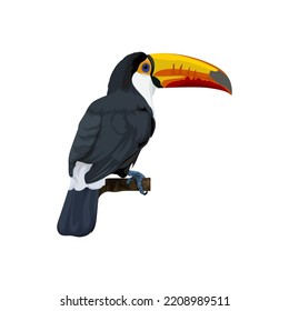Toucan bird vector illustration cartoon - Shutterstock ID 2208989511