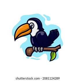 toucan bird vector illustration design