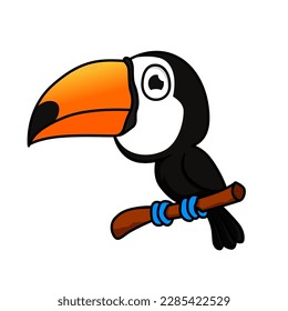 toucan bird vector illustration design