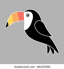 Toucan bird vector illustration drawing, toucan graphic isolated on grey background.