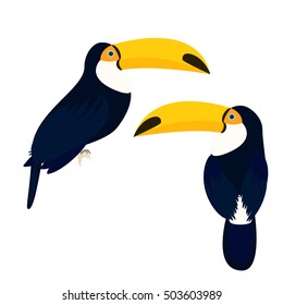 Toucan bird vector illustration isolated on white side view and back view.