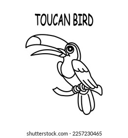 Toucan Bird vector illustration template for Coloring book. Drawing lesson for children	