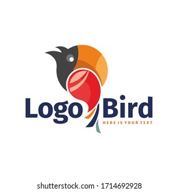 toucan bird vector multicolor logo.