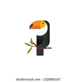 Toucan bird vector on a white background