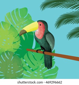 Toucan bird vector. Tropical background with toucan bird, palm tree and philodendron leaves. 