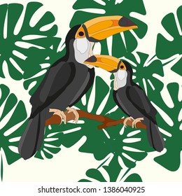 Toucan bird vetor isolated. Beautiful toucan cartoon vector illustration