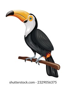 Toucan bird, wildlife,vector stock illustration