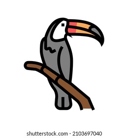 toucan bird in zoo color icon vector. toucan bird in zoo sign. isolated symbol illustration