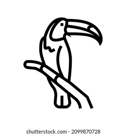 toucan bird in zoo line icon vector. toucan bird in zoo sign. isolated contour symbol black illustration