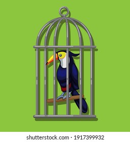 Toucan in birdcage. Toucan (family Ramphastidae) exotic bird from american tropical forest illustration in cartoon vector