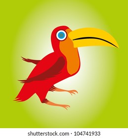 toucan birds