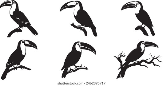 Toucan Birds, Collection Toucan Bird Sillhouettes