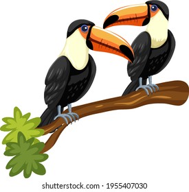 Toucan birds on a branch isolated on white background illustration
