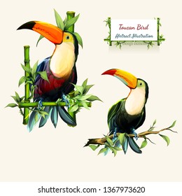 Toucan birds on branches and bamboo with leaves. Set of two different colored isolated on white. Hand drawn, watercolor illustration. Design elements. Vector - stock.