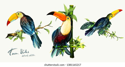 Aves turcas en ramas y bambú con hojas. Conjunto de tres aislados en blanco. Dibujo a mano, acuarela. Elementos de diseño. Vector - stock.