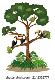 Toucan birds standing on tree illustration