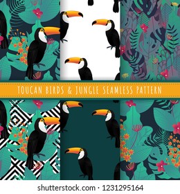 Toucan birds and tropical leaf pattern seamless collection. Set of 6 green jungle background. Endless texture for gift wrap, wallpaper, web banner background, wrapping paper and Fabric patterns. 
