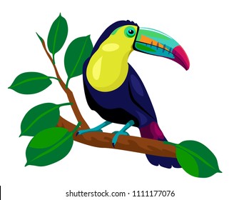 Toucan with blue beak sitting on a branch. vector illustration