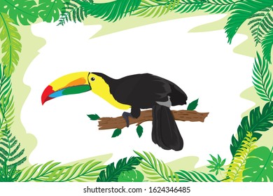 Toucan branch beautiful color wallpaper vector