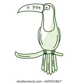 toucan in branch tropical bird icon
