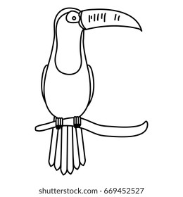 toucan in branch tropical bird icon