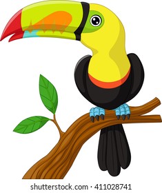 toucan cartoon sitting on the branch