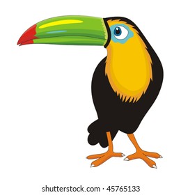 Toucan cartoon vector illustration