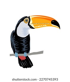 Toucan cartoon vector realistic isolated on white.