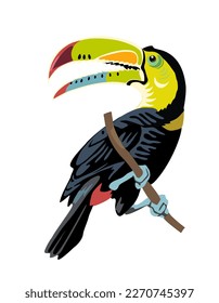 Toucan cartoon vector realistic isolated on white.