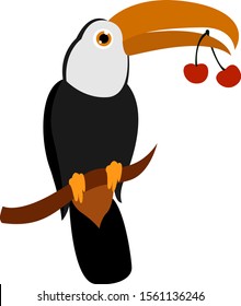 Toucan with cherry, illustration, vector on white background.