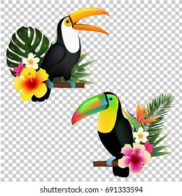 Coleção Toucan, Ilustração De Vetor, Com Malha De Gradiente
