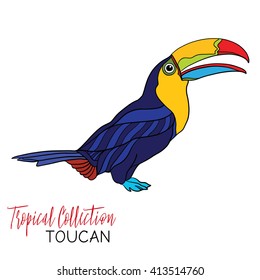 Toucan. Colored tropical bird. Vector illustration.