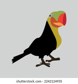 Toucan colorful vector design,poster, print, postcard,Coffee mug other uses