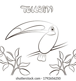 Toucan coloring page. Cute tropical bird sitting on a branch with leaves. Stock vector illustration